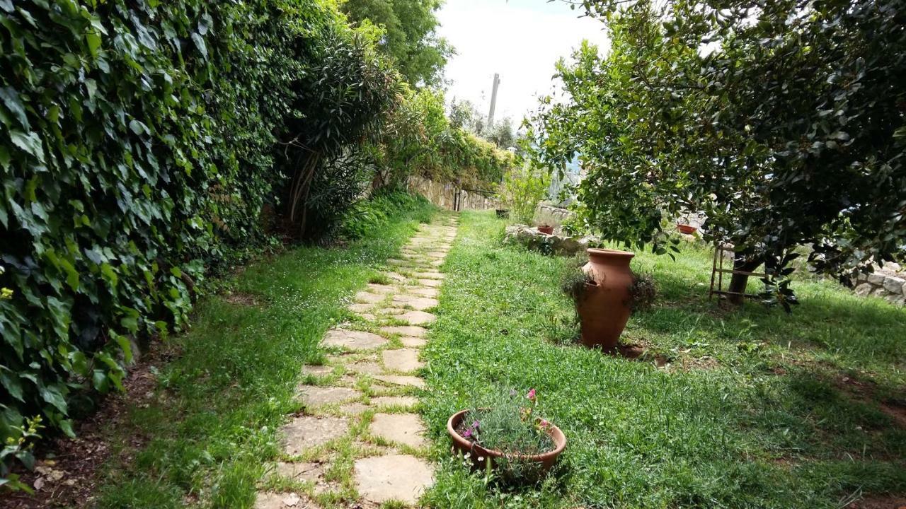 B&B La Vecchia Scuola Sonnino Екстер'єр фото